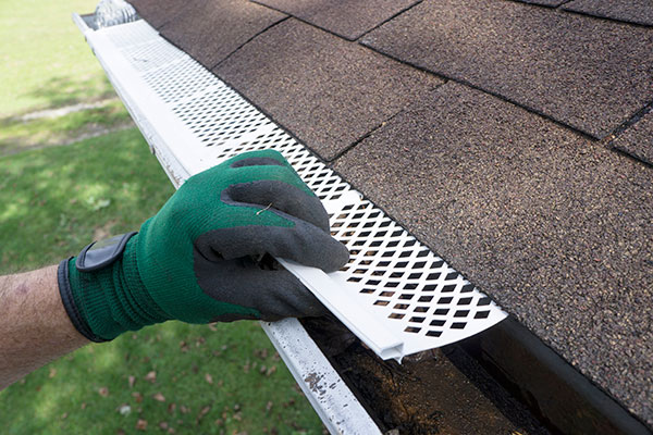 Expert Gutter Screen Installation Services